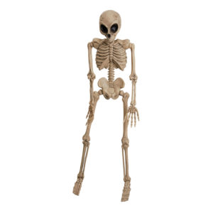 Alien Skelett Prop