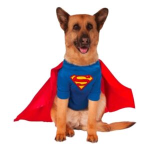 Superman Hund Maskeraddräkt - XX-Large