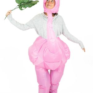 Uppblåsbar Flamingodräkt